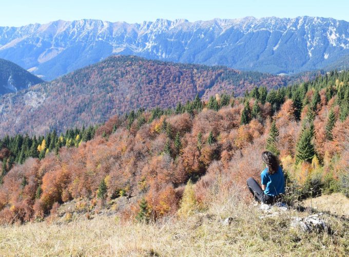 Descopera! Calatoreste! Relaxeaza-te!